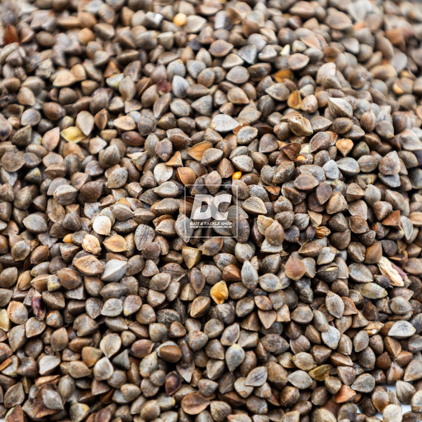 BUCKWHEAT