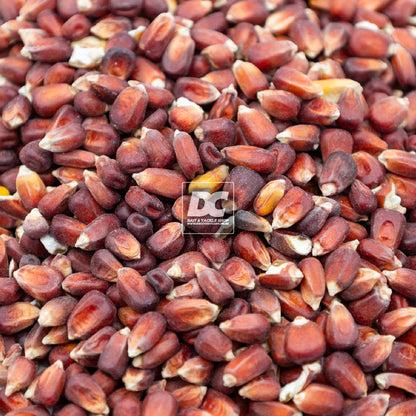 RED CORN 