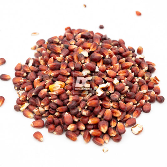 RED CORN 