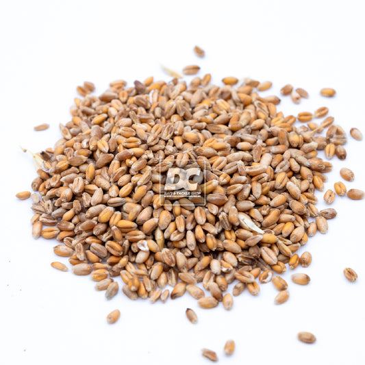 BROWN WHEAT