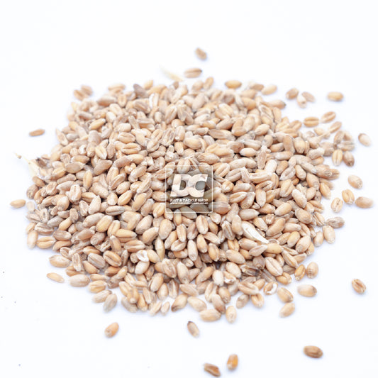 WHITE WHEAT