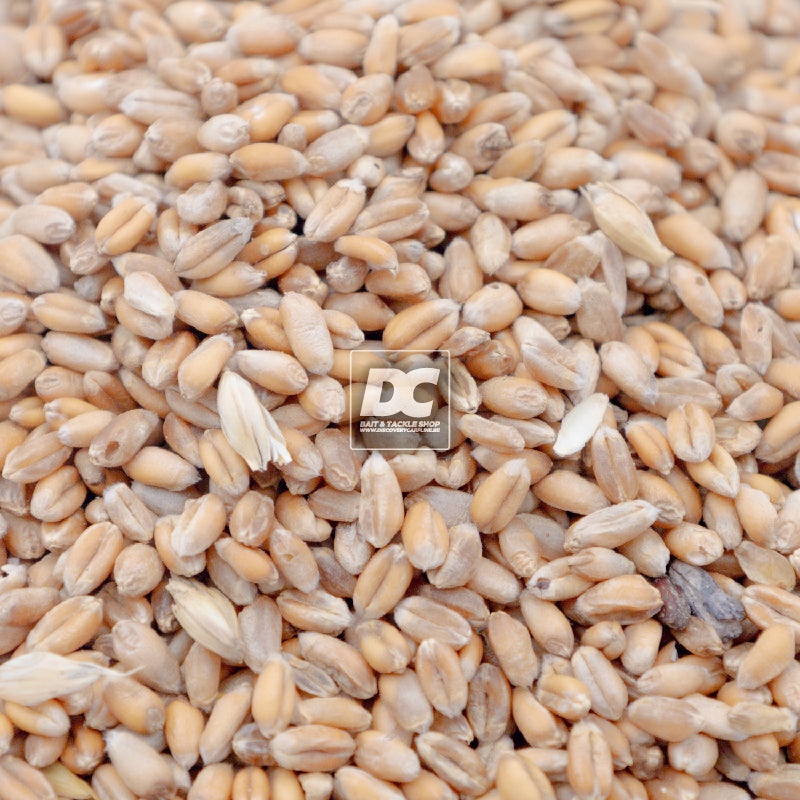 WHITE WHEAT