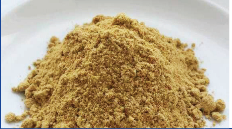 Blue Mussel Powder